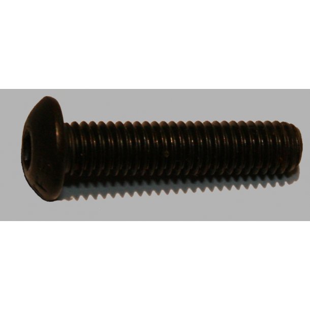 Frame retainer screw front 1013